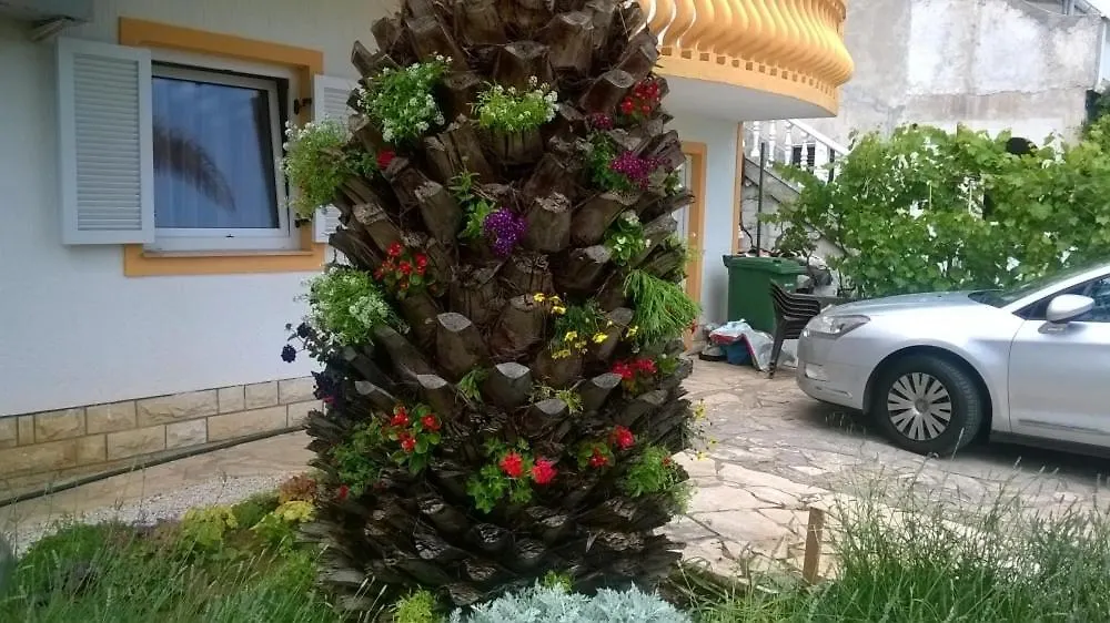 Big Terrace Apartment Vir